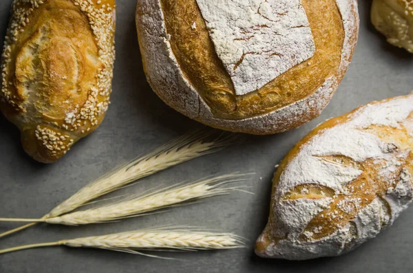 Pâine Frumoasă Sourdough Fundal Gri Flori Grâu Uscate fotografii de stoc fără drepturi de autor