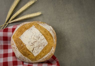 Gri arka planda kuru buğday çiçekli güzel ekşi ekmek..
