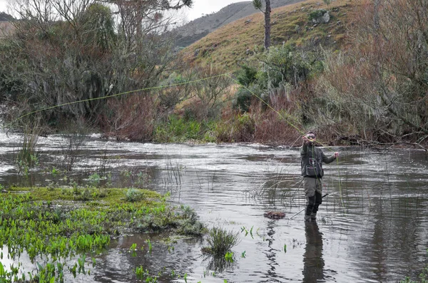 Pescador Mosca Pesca Truta Arco Íris Montanha Belas Paisagens — Fotografia de Stock