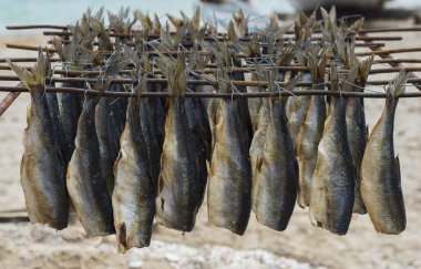 Tütsülenmiş balık