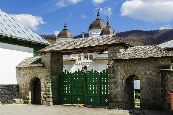 Mănăstirea Ortodoxă Suzana — Fotografie, imagine de stoc