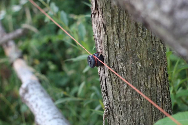 Wire Electric Fence for Animals