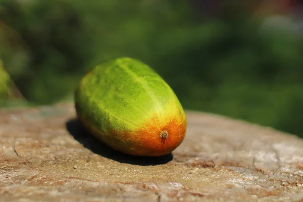 Cucumber that is starting to ripen