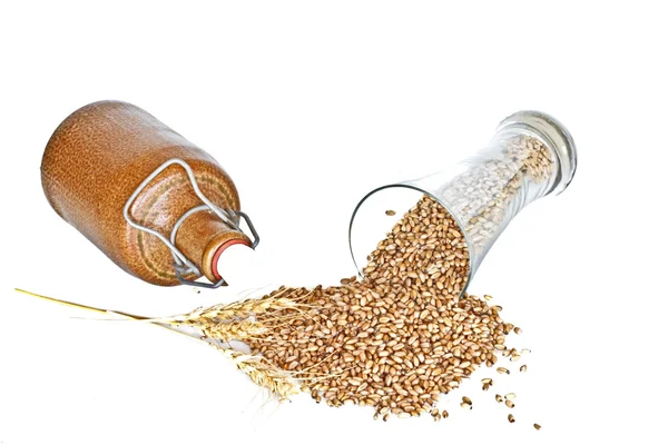 Glass of beer with wheat grain — Stock Photo, Image