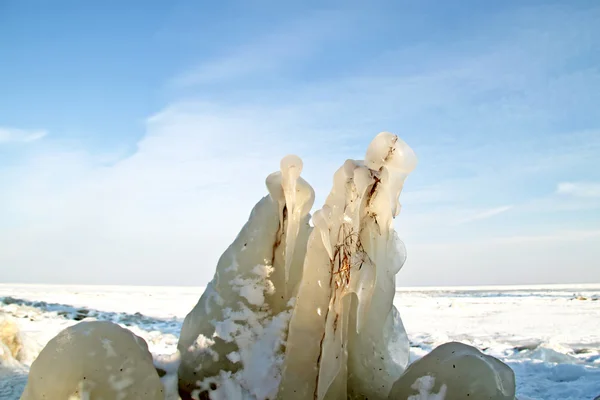 オランダの冬、アイセル湖で氷花 — ストック写真