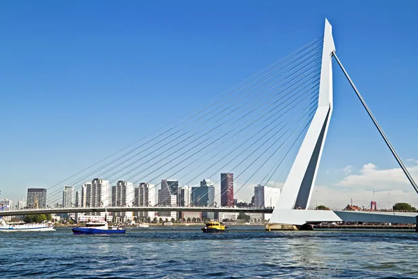 Erasmus bridge Rotterdam Hollanda liman — Stok fotoğraf