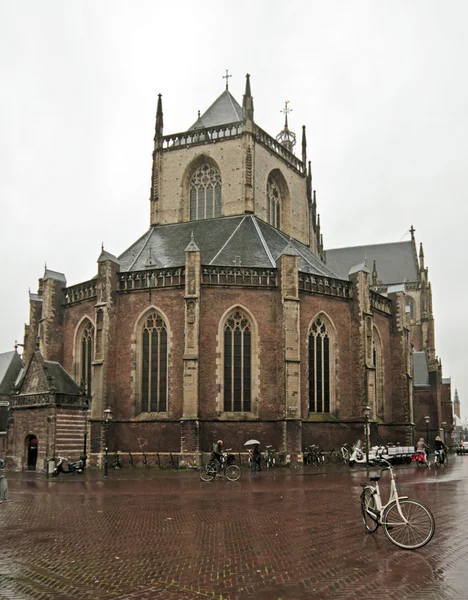 Middeleeuwse kerk st. bavo in haarlem, Nederland — Stockfoto