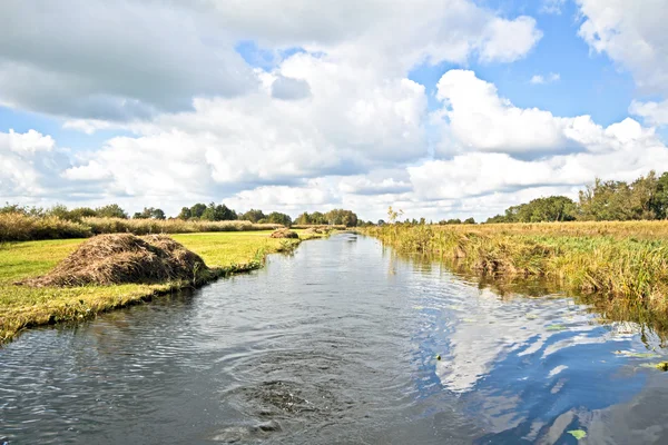 Typical dutch landscape in the Netherlands — Stockfoto