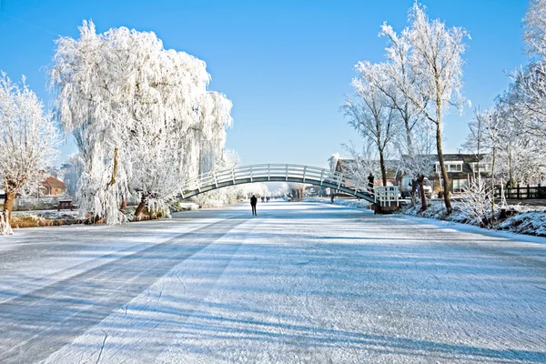 Schaatsen op kinderdijk in Nederland — Stockfoto