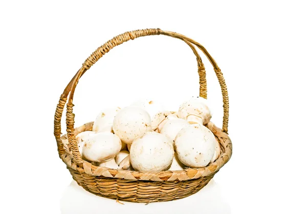 Basket full of mushrooms — Stock Photo, Image