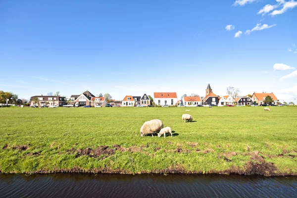 Wiosna na wsi z Holandii — Zdjęcie stockowe
