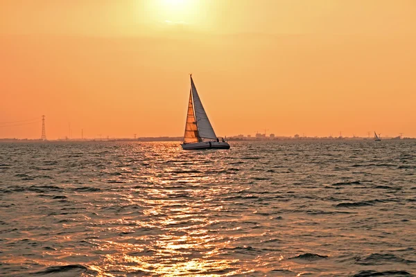 オランダのIJsselmeerの日没時に出航し — ストック写真