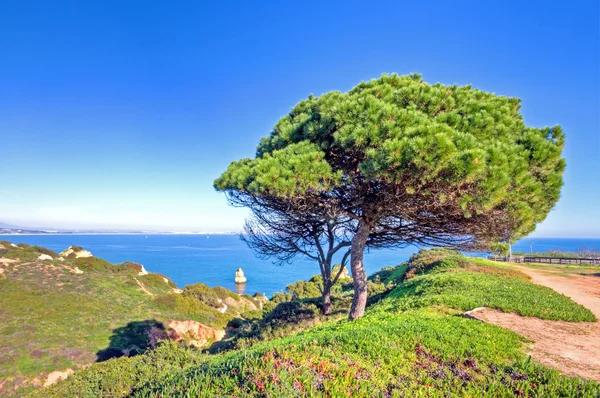 Portugiesische Landschaft in der Nähe von Lagos an der Algarve — Stockfoto