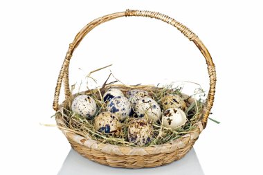 Sepette bıldırcın yumurtası