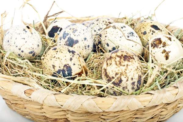 Quail eggs in straw — Stock Photo, Image