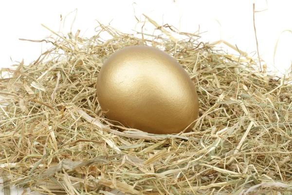 Zlaté vejce v slámy — Stock fotografie