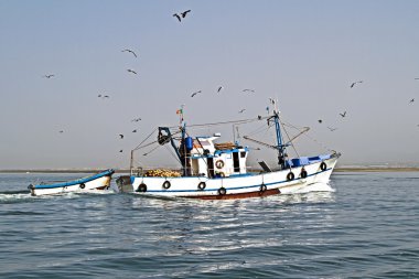 ev liman martıları bir sürü ile dönen balıkçı teknesi