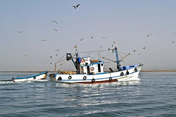 Barca da pesca di ritorno al porto di casa con un sacco di gabbiani — Foto Stock