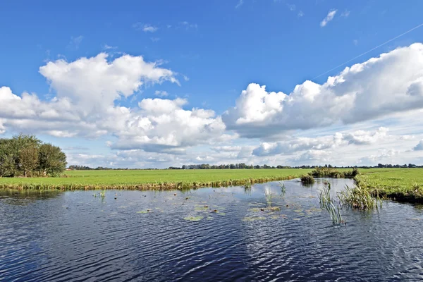 Paisagem típica holandesa ampla com prados, água e paisagens nubladas — Fotografia de Stock