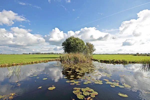 Paisaje holandés ancho típico con prados, agua y paisajes nublados — Foto de Stock