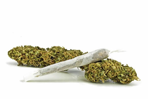 Marihuana — Stock Photo, Image