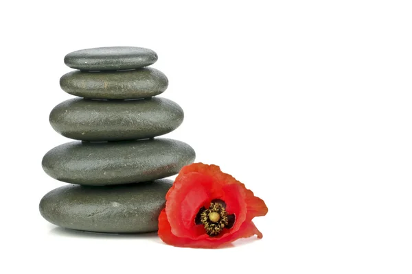 Concept spa avec pierres zen et fleur — Photo