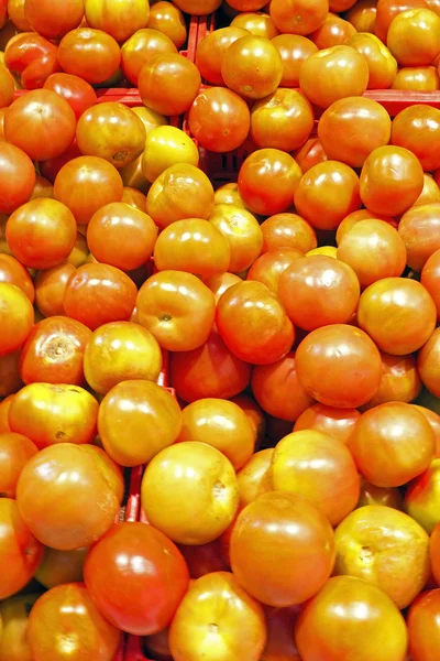 Süpermarkette domates — Stok fotoğraf