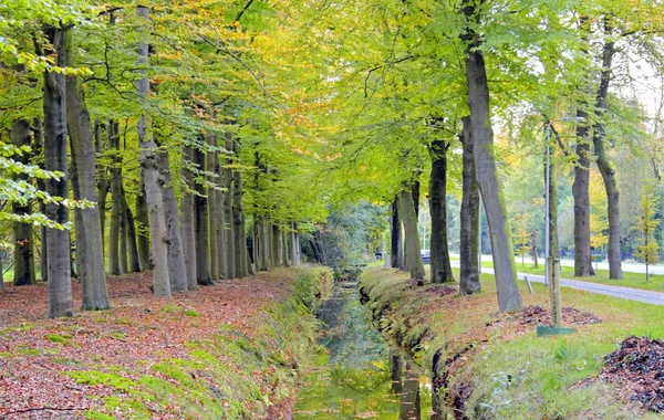 Herfst op het platteland vanuit Nederland — Stockfoto