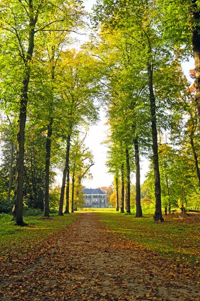 Chute à la campagne des Pays-Bas — Photo