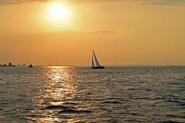 Żeglarstwo na IJsselmeer w Holandii o zachodzie słońca — Zdjęcie stockowe