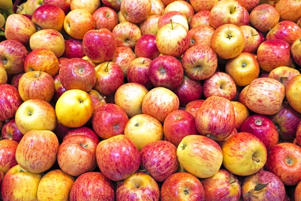 Rote Äpfel im Supermarkt — Stockfoto