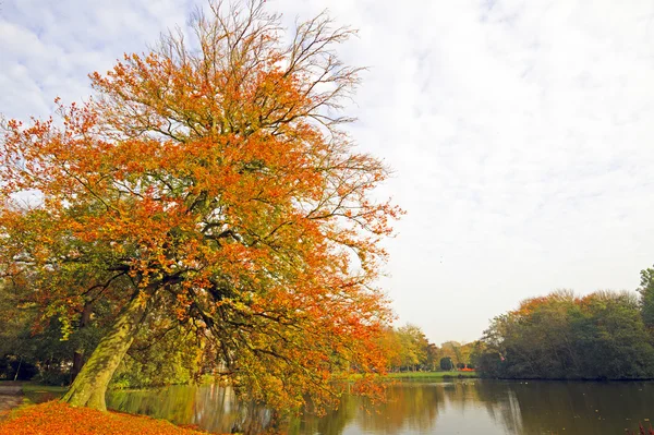 Herbst in den Niederlanden — Stockfoto