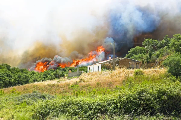 Grote bosbrand dreigt huizen in portugal — Stockfoto