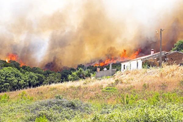 Grote bosbrand dreigt huizen in portugal — Stockfoto