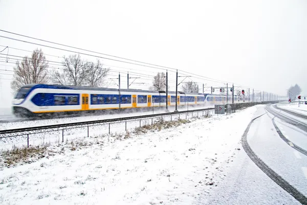 Tåget kör i en snöstorm i Nederländerna — Stockfoto