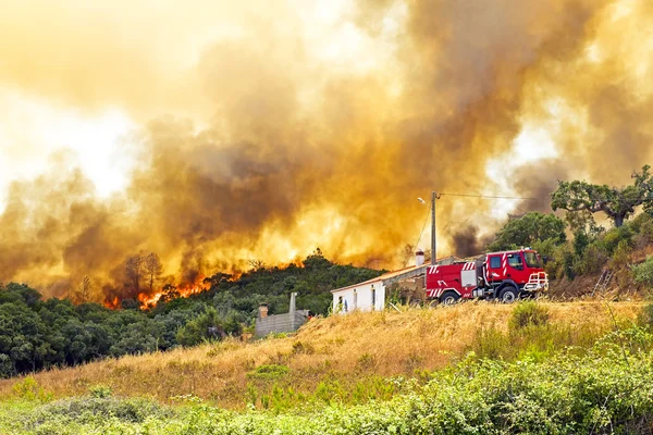Величезний Лісовий вогонь загрожує будинків в Португалії Ліцензійні Стокові Фото