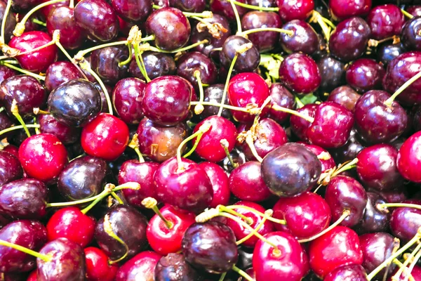 Organic ripe red cherries