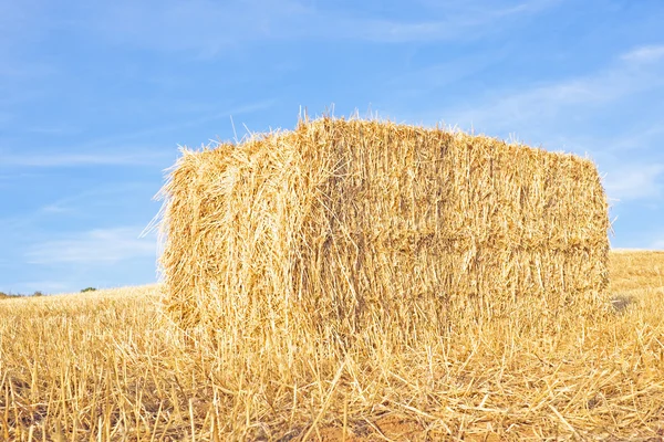 Balle de foin dans les champs du Portugal — Photo