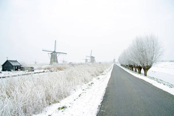 Tavanomaiset tuulimyllyt maaseudulla Alankomaista — kuvapankkivalokuva
