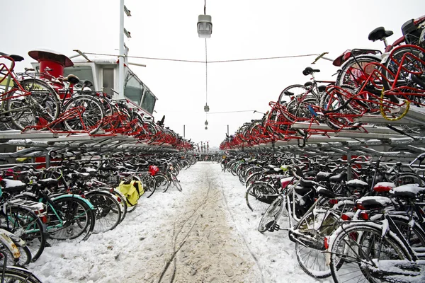 Fietsen in de sneeuw in amsterdam Nederland — Stockfoto