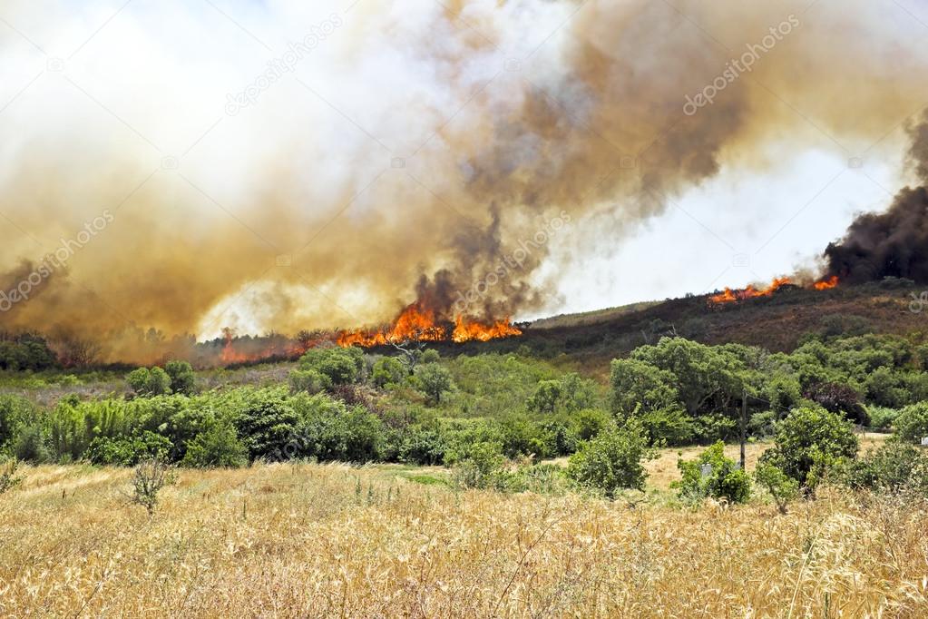 Huge bush fire at the westcoast in Portugal