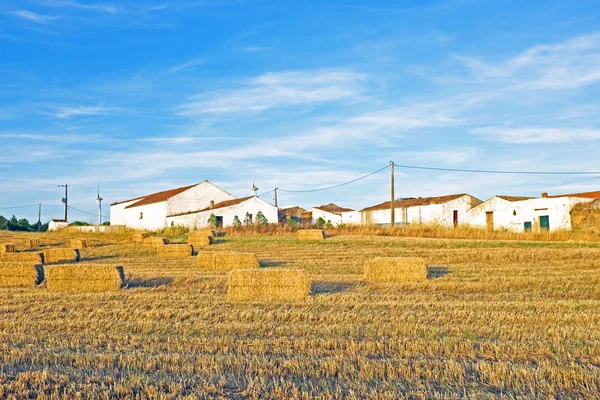Monte Novo con balle di fieno nei campi in Portogallo — Foto Stock