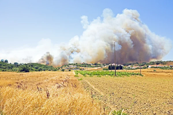 Büyük orman yangını Portekiz evleri tehdit ediyor. — Stok fotoğraf