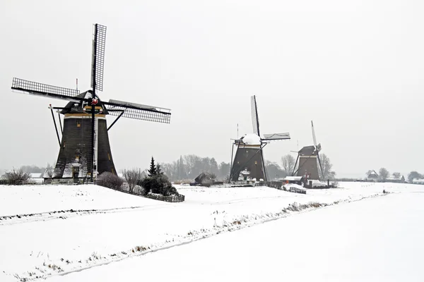 Historical windmills in the countryside from the Netherlands Stock Image