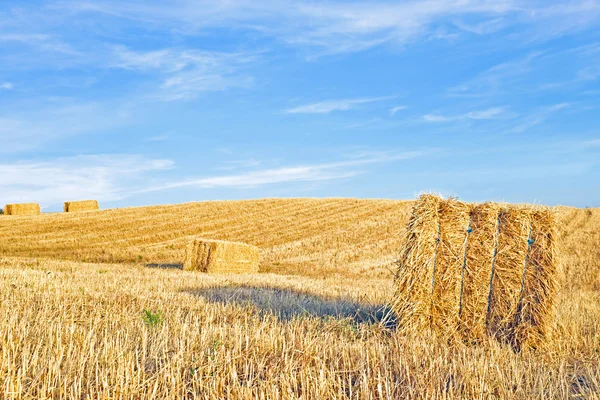 Hay bales in the fields from Portugal — Stock Photo, Image