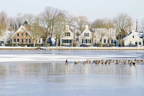 Wieś broek w waterland w zimie w Holandii — Zdjęcie stockowe