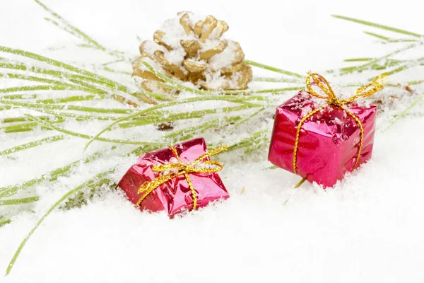 Christmas decoration with fir in the snow — Stock Photo, Image