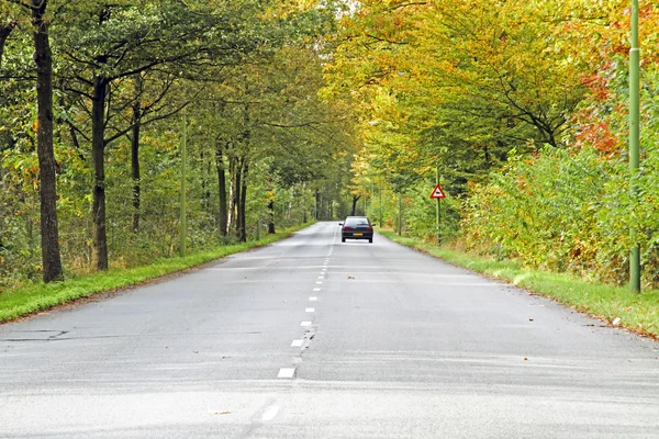 Rijden op het platteland van Nederland in de herfst — Stockfoto