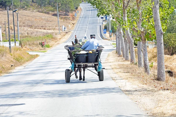 Agricultor conduciendo en su carro de caballos en Portugal —  Fotos de Stock