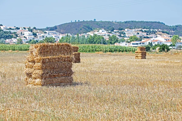 Haybales en los campos cerca de Aljezur en Portugal —  Fotos de Stock